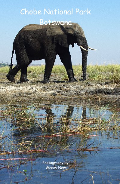 View Chobe National Park Botswana by Photography by Wendy Nero