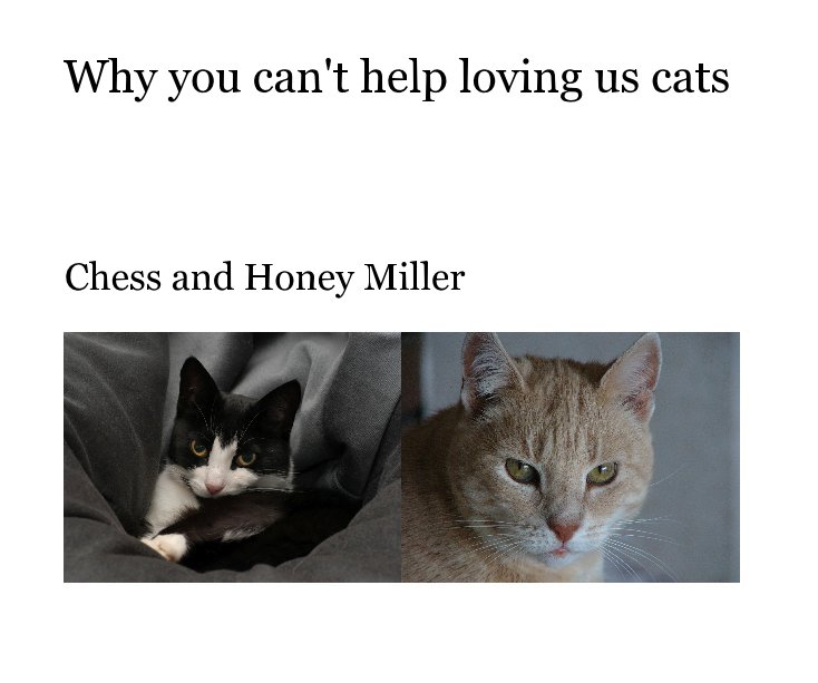 Bekijk Why you can't help loving us cats op Chess and Honey Miller
