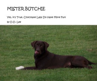 MISTER BUTCHIE book cover