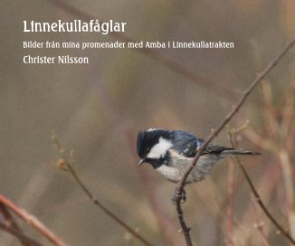 Linnekullafåglar book cover