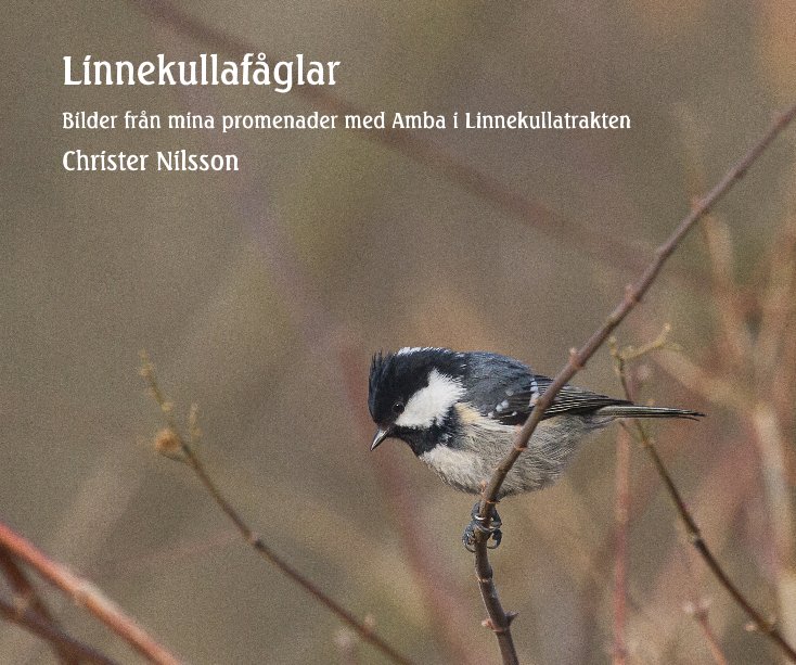 View Linnekullafåglar by Christer Nilsson