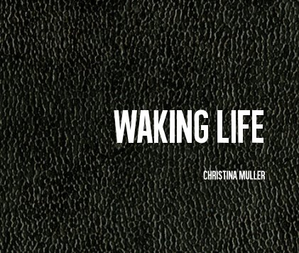 Waking Life book cover