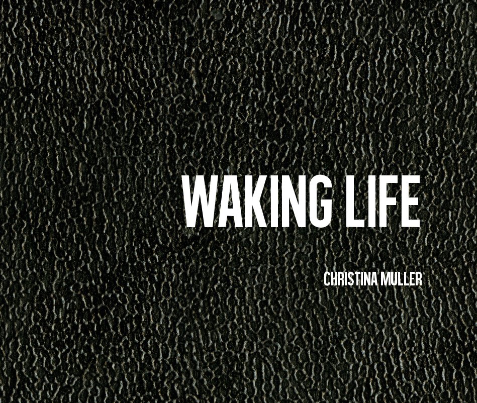 View Waking Life by Christina Muller