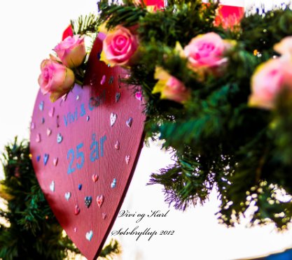 Vivi og Karl book cover