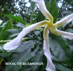 Book Of Blessings / HardCover book cover