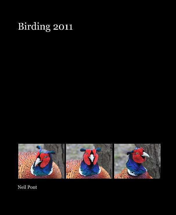 View Birding 2011 by Neil Pont