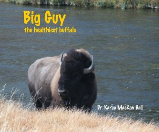 Big Guy the Healthiest Buffalo book cover