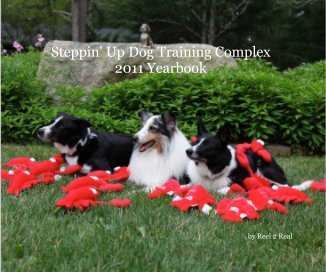 Steppin' Up Dog Training Complex 2011 Yearbook book cover