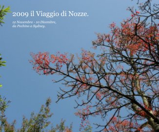 2009 il Viaggio di Nozze. book cover
