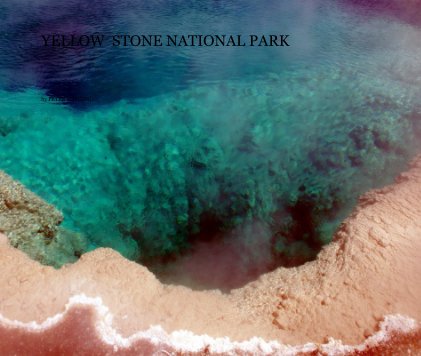 yellow stone national park book cover