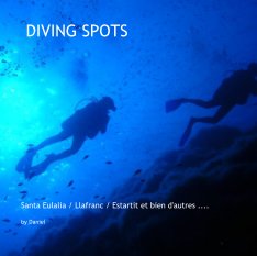 DIVING SPOTS book cover