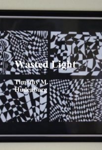 Wasted Light Timothy M. Hudenburg book cover