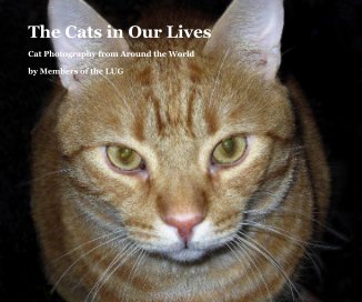 The Cats in Our Lives book cover
