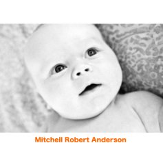 Mitchell Robert Anderson book cover