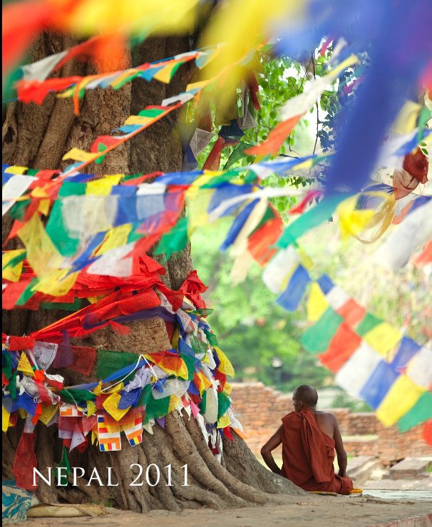 Ver nepal 2011 por jocurrie