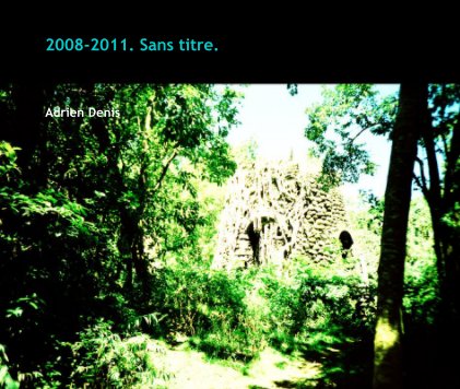 2008-2011. Sans titre. book cover