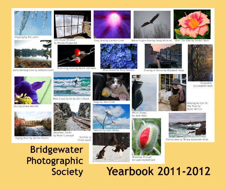 View Bridgewater Photographic Society by Sara Harley