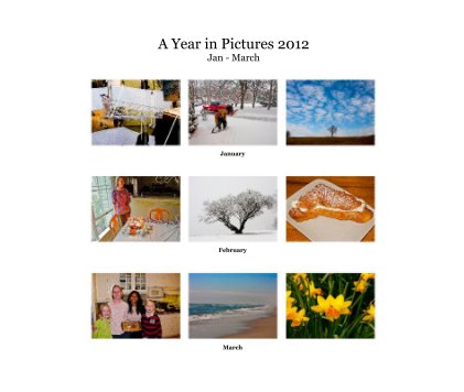 A Year in Pictures 2012 Jan - March book cover
