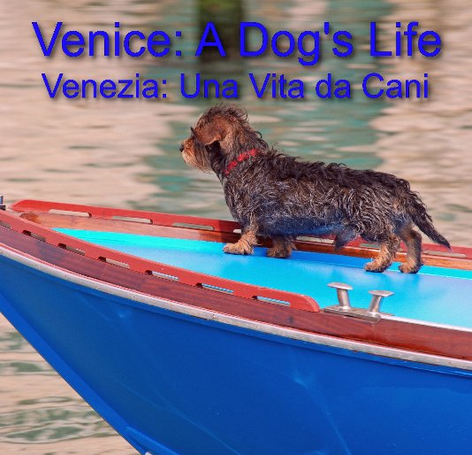 View Venice: A Dog's Life by Julie Gould