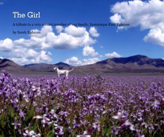 The Girl book cover