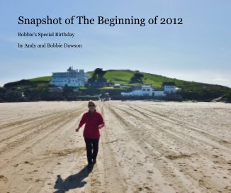 Snapshot of The Begining of 2012 book cover