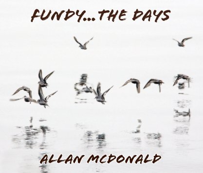 Fundy...The Days book cover