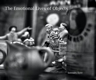 The Emotional Lives of Objects book cover