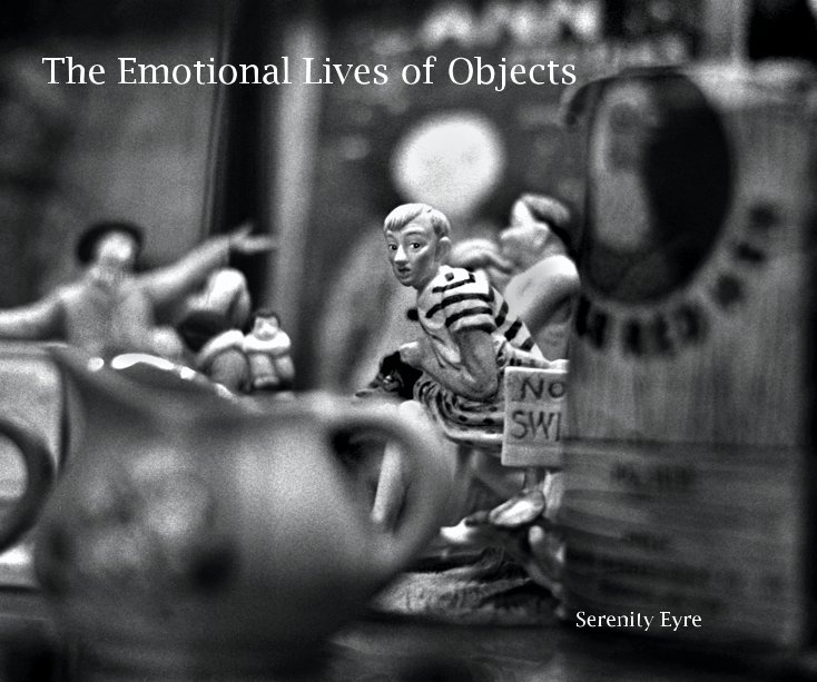 View The Emotional Lives of Objects by Serenity Eyre