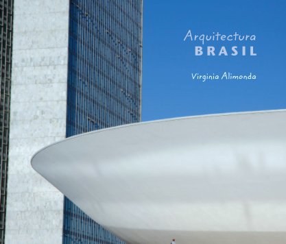 Arquitectura  B R A S I L - Virginia Alimonda book cover