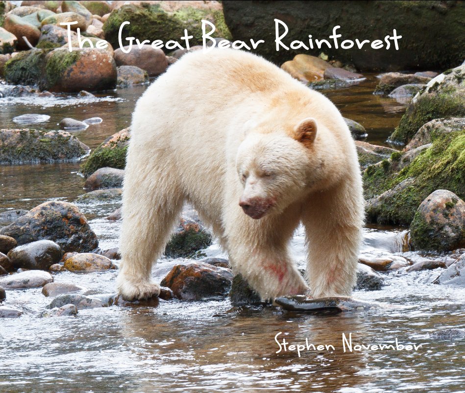 View The Great Bear Rainforest by Stephen November