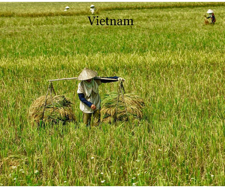View Vietnam by Vanbuckley