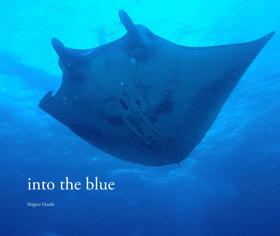 View into the blue by Shigeto Maeda