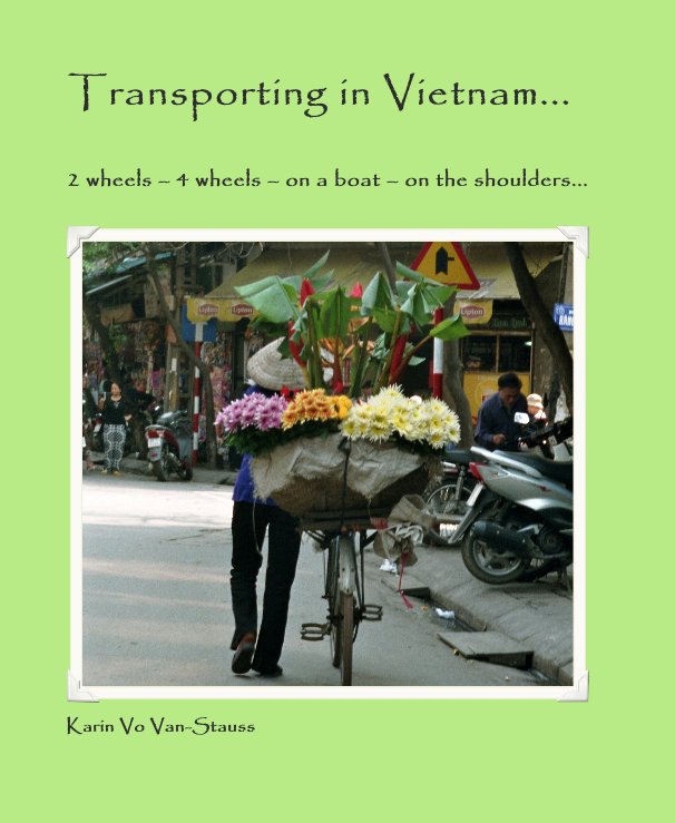 View Transporting in Vietnam by Karin Vo Van-Stauss
