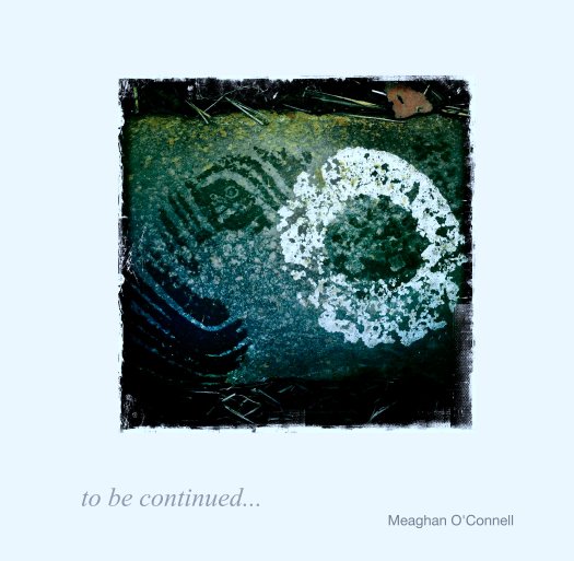 View to be continued... by Meaghan O'Connell