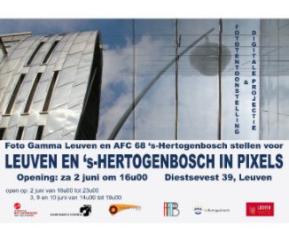 Leuven en 's-Hertogenbosch in pixels book cover