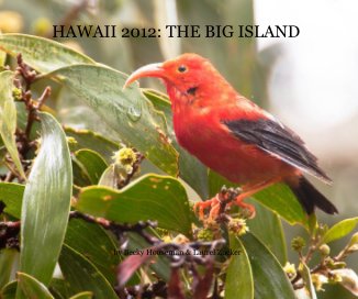 HAWAII 2012: THE BIG ISLAND book cover