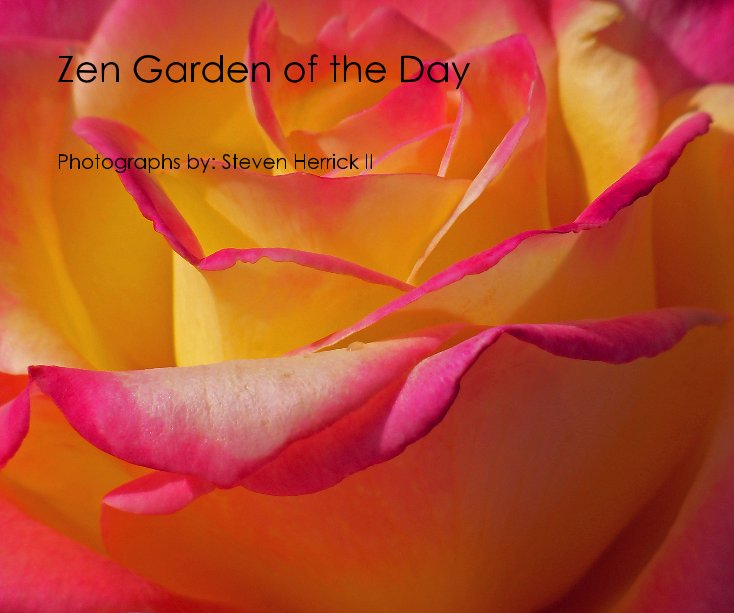Visualizza Zen Garden of the Day di Steven Herrick II