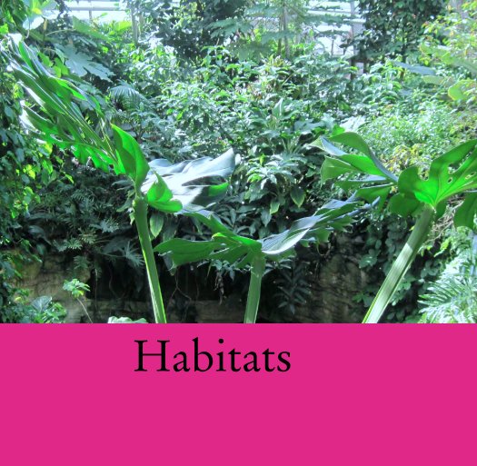 View Habitats by vargaste000