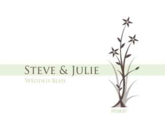 Steve & Julie book cover