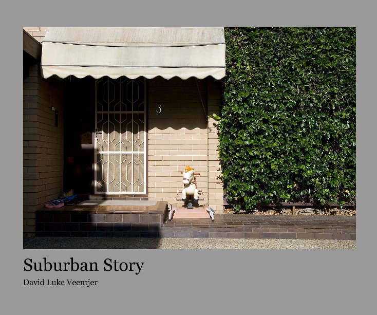 View Suburban Story by David Luke