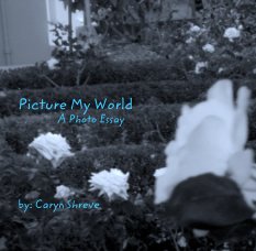Picture My World
                A Photo Essay book cover