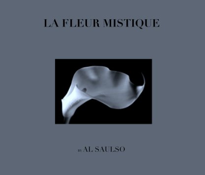 LA FLEUR MISTIQUE book cover