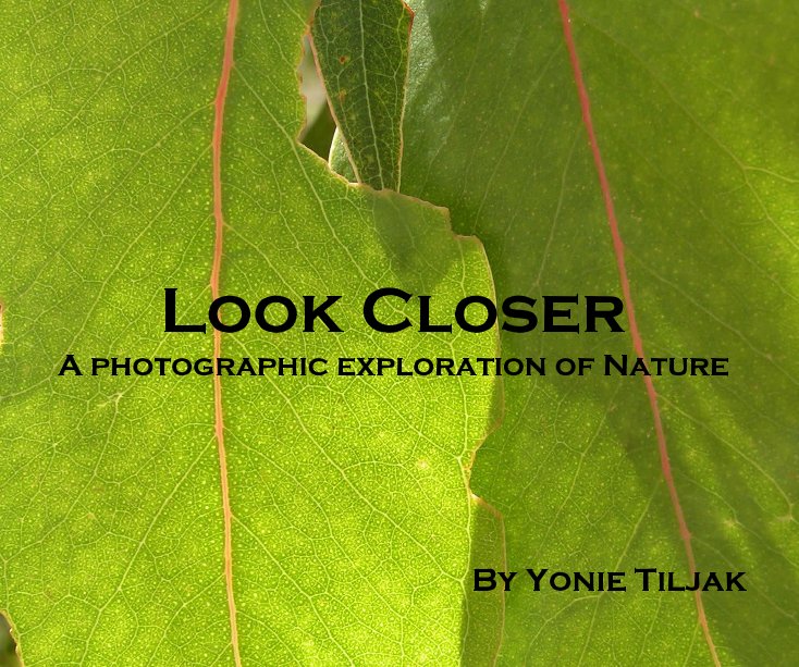 View Look Closer by Yonie Tiljak