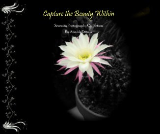 Capture the Beauty Within book cover