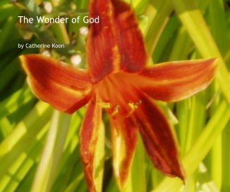 The Wonder of God book cover