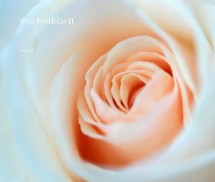 Gus Portfolio II book cover