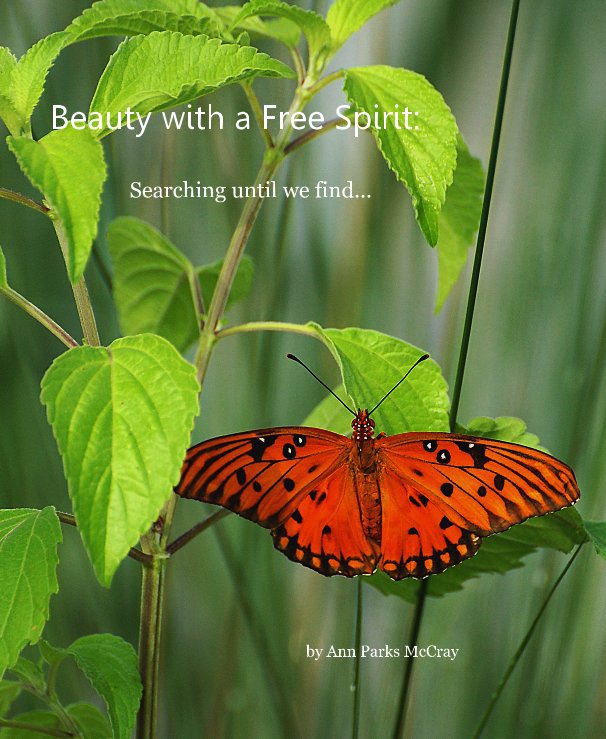 Bekijk Beauty with a Free Spirit: Searching until we find... op Ann Parks McCray