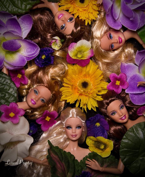 Ver Barbie Blossoms por Loreal Prystaj