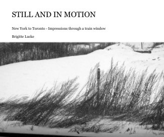 STILL AND IN MOTION book cover