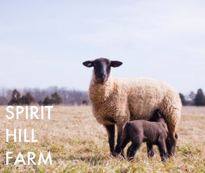 Spirit Hill Farm book cover